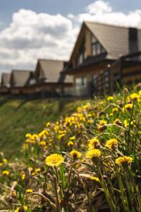 een veld met gele bloemen voor een huis bij Górska Ostoya in Szlembark