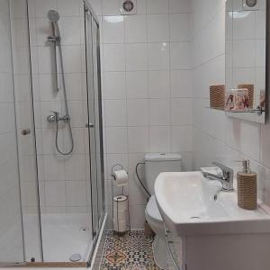 a bathroom with a shower and a toilet and a sink at Malowany Domek in Przymiłowice +11 photos