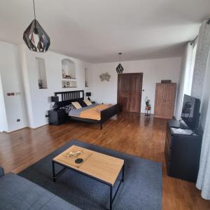 a living room with a couch and a coffee table at Apartmány Vila Lucia 4 in Pilsen