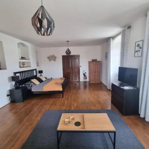 a living room with a couch and a table at Apartmány Vila Lucia 4 in Pilsen