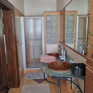 a bathroom with a glass sink and a shower at Apartmány Vila Lucia 4 in Pilsen