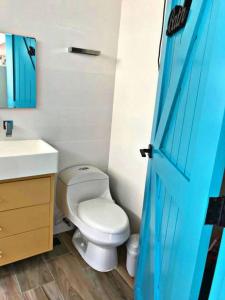 La salle de bains est pourvue de toilettes, d'un lavabo et d'une porte bleue. dans l'établissement Amazing apartment, Juan Dolio, El Bonio II- 2B, à Juan Dolio