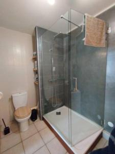 La salle de bains est pourvue d'une douche et de toilettes. dans l'établissement Appartement 46, à Doussard