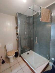 a bathroom with a shower and a toilet at Appartement 46 in Doussard +5 photos