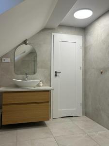 een badkamer met een wastafel en een spiegel bij Velobaltica apartmenty in Wisełka