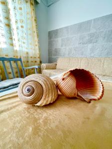 uma concha de caracol sentada no chão de um quarto em Poseidonia's Breeze em Posidhonía