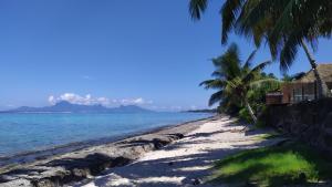 a beach with palm trees and the ocean at Maison de vacances avec piscine et accès plage de sable blanc in Punaauia