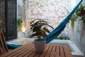 梅里達的住宿－Casa Coco，一张桌子上挂在吊床上的盆栽植物