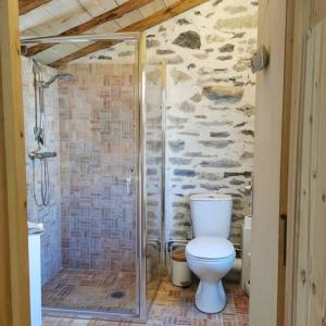 a bathroom with a toilet and a walk in shower at Gîte 14 pers LesOursFanfarons spacieux chaleureux in Bramans