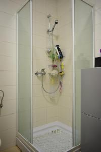 eine Dusche mit Glastür im Badezimmer in der Unterkunft Apartment Malči in Čižići