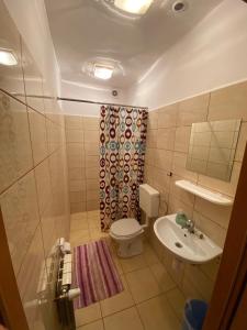 een badkamer met een toilet en een wastafel bij "U Jędrusia" in Żychlin