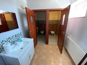 een badkamer met een wastafel en een toilet bij "U Jędrusia" in Żychlin