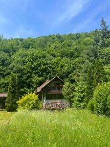 a house in the middle of a grassy field at Cottage by the river Valea Draganului in Poeni