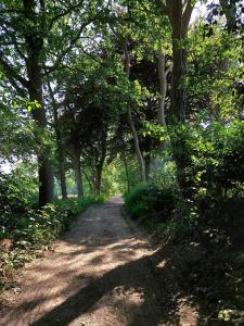 uma estrada de terra com árvores em cada lado em Boshuis Golfzicht "Wellness, Golf & Nature" em Oosterhout