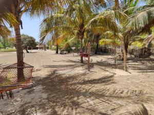 a beach with palm trees and a swing set at Grande maison en bordure de plage in Palmarin