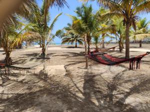a beach with palm trees and a hammock on it at Grande maison en bordure de plage in Palmarin
