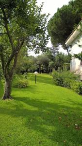 Jardin de l'établissement Grande villa a 100 m. dal mare