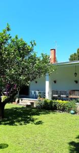 une maison avec un arbre en face d'une cour dans l'établissement Grande villa a 100 m. dal mare, à San Felice Circeo