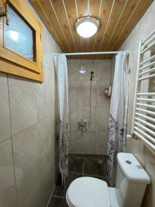 a bathroom with a shower and a toilet at Avusor mola cafe pansiyon in Çamlıhemşin