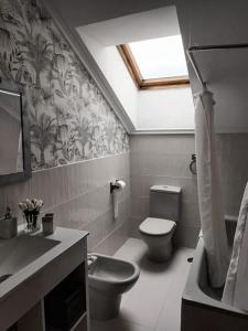 La salle de bains est pourvue de toilettes et d'un lavabo. dans l'établissement Ático luminoso con terraza, à Santander