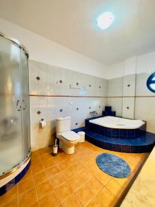 a bathroom with a shower and a toilet and a tub at Almyriki Apartment in Ierissos +47 photos