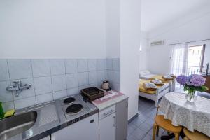 Kuchyň nebo kuchyňský kout v ubytování Apartments Vila Nikolić Rafailovići