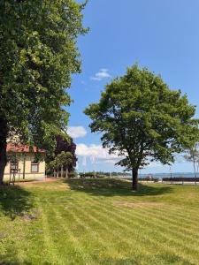 Příroda nedaleko bed and breakfast