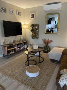 a living room with a couch and a tv at Chez Flo in Avignon
