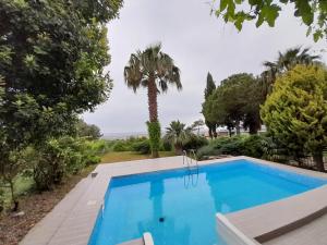 una piscina en un patio con una palmera en Villa suzi, en Aydın