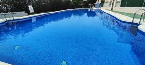 a large swimming pool with blue water at PARQUE AROMATICO CON DOS PISCINAS in Torrevieja