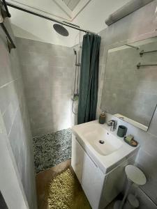 巴葉馬霍的住宿－Ti bijou，一间带水槽和镜子的浴室
