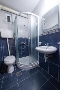 Koupelna v ubytování Apartments Vila Nikolić Rafailovići