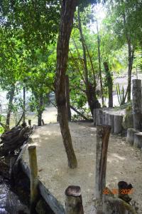 a park with a tree and some rocks and trees at Loft by Yuum Kiin Bacalar in Rancho Bacalar