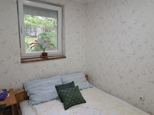 Fotografie z fotogalerie ubytování Exit vila v destinaci Sremska Kamenica