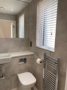 a bathroom with a toilet and a sink and a mirror at G2 Luxury Rooms in a Shared House in Basildon