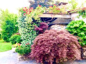 een tuin met bloemen op een stenen muur bij Tuscany To Love - Holiday Home - Casa Vacanze in Pieve a Nievole