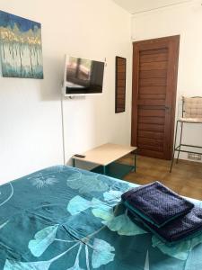 a bedroom with a bed and a television in it at Les Chênes-lièges d'Ambeille in Collioure