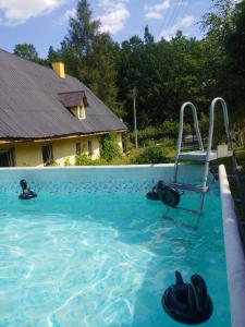 a swimming pool with a chair in the water at Agroturystyka Zacisze in Gorzanów