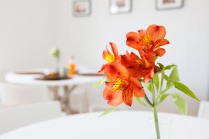 Foto dalla galleria di B&B In Piazza a Mafalda