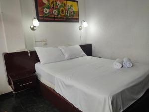 Billede fra billedgalleriet på Hotel Villa del Rosario Nuevo i Melgar