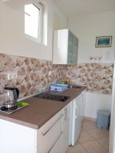 Kuchyňa alebo kuchynka v ubytovaní Apartments Marija Sabina