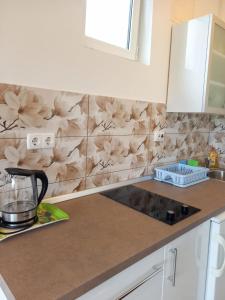 Kuchyňa alebo kuchynka v ubytovaní Apartments Marija Sabina