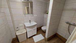 Koupelna v ubytování Apartmán Velehrad