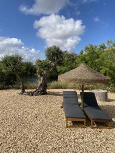 two chairs and an umbrella on a beach at Corvatos Casas do Monte in Almodôvar