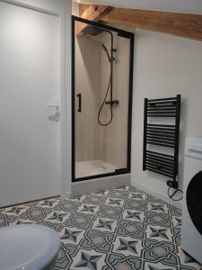 a bathroom with a shower and a toilet at Place Barbe in Dijon
