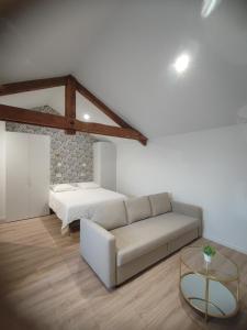 ein Wohnzimmer mit einem Sofa und einem Bett in der Unterkunft Place Barbe in Dijon
