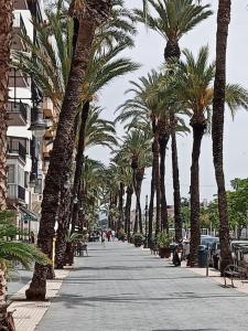 un trottoir bordé de palmiers dans une rue de la ville dans l'établissement Apartamento cerca del mar en Castellon, à Grao de Castellón