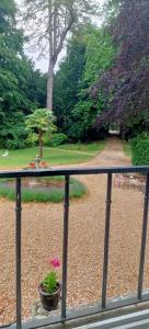 ベレームにあるChateau de la Grand'Maisonのバルコニーから庭園の景色を望めます。