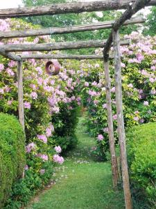 a wooden pergola with pink roses in a garden at Bulle sous les étoiles 