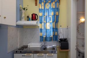 Kuchyň nebo kuchyňský kout v ubytování Irini Studios in Tinos